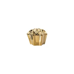 Clearance Versace Dose