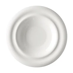 New Rosenthal Gourmetteller 30 cm tief
