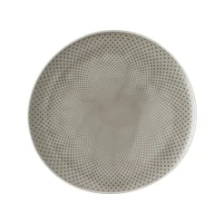 Rosenthal Speiseteller 27 cm