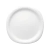 Rosenthal Speiseteller 28 cm
