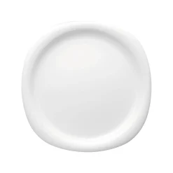 Rosenthal Speiseteller 28 cm