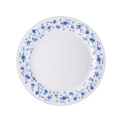 Rosenthal Speiseteller 26 cm Fahne