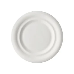 Best Rosenthal Speiseteller 25 cm Fahne