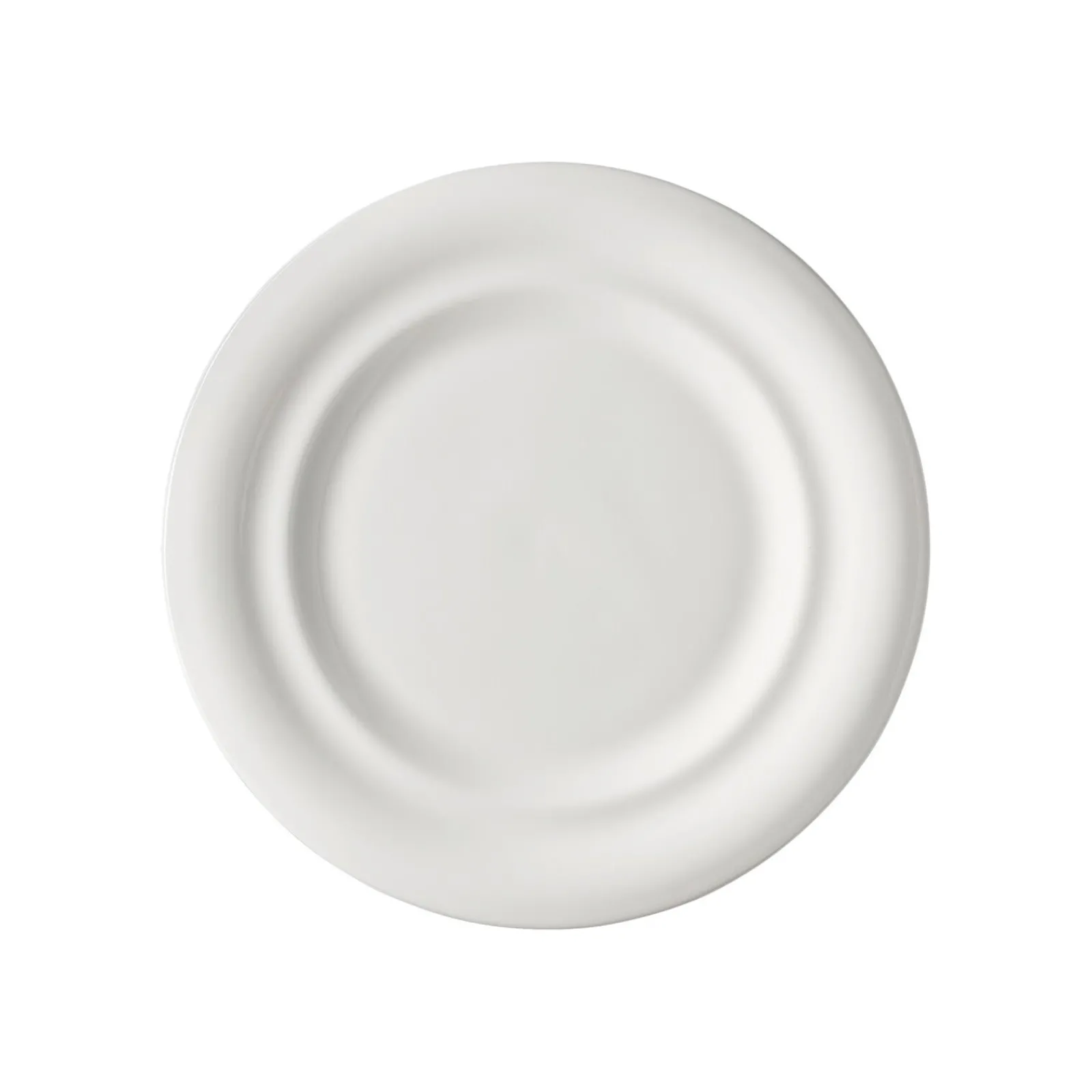Best Rosenthal Speiseteller 25 cm Fahne
