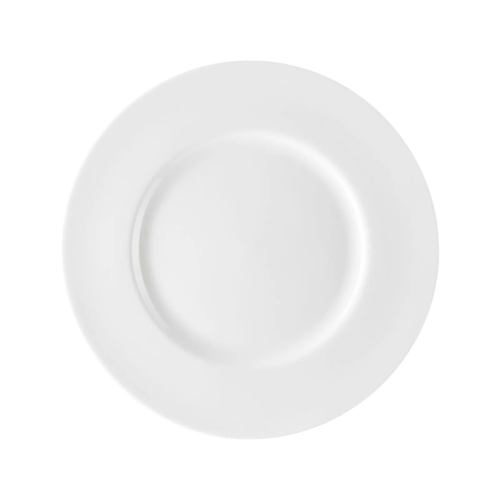 Rosenthal Speiseteller 27 cm Fahne