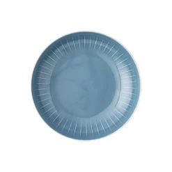 Best Rosenthal Suppenteller 23 cm