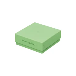 Best Swarovski x Rosenthal Teller 10 cm