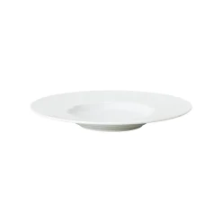 Hot Rosenthal Teller 26 cm tief glänzend
